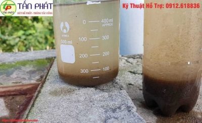 cung cấp bùn vi sinh